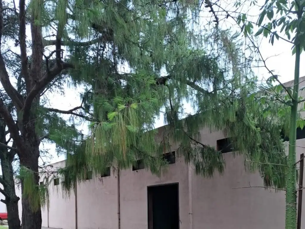 Foto de Depositos En Alquiler En Zona Indrustrial Lujan!!!!, imagen 1