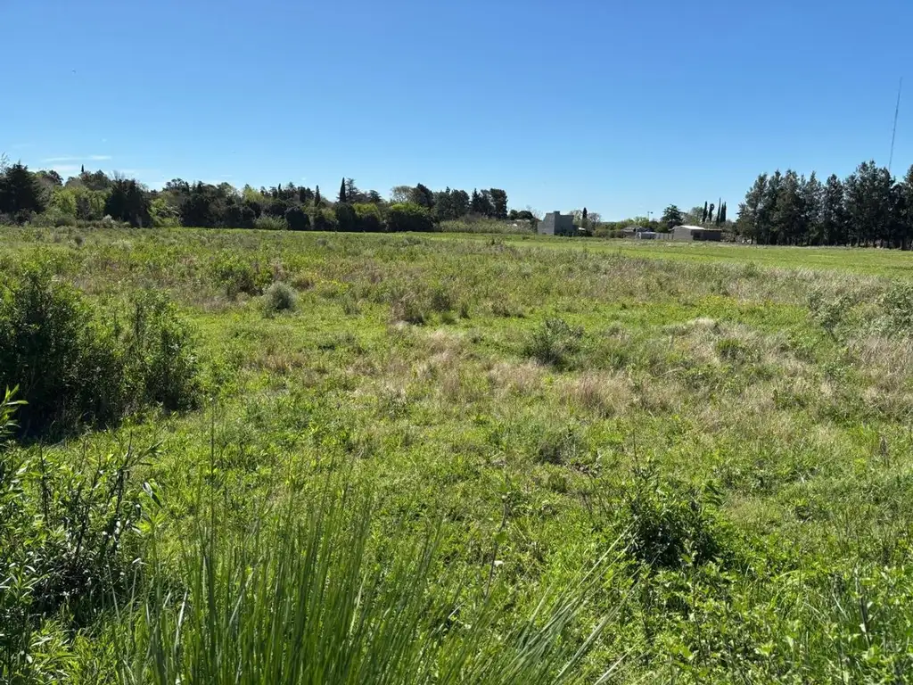 Foto de Lote baldío, imagen 1
