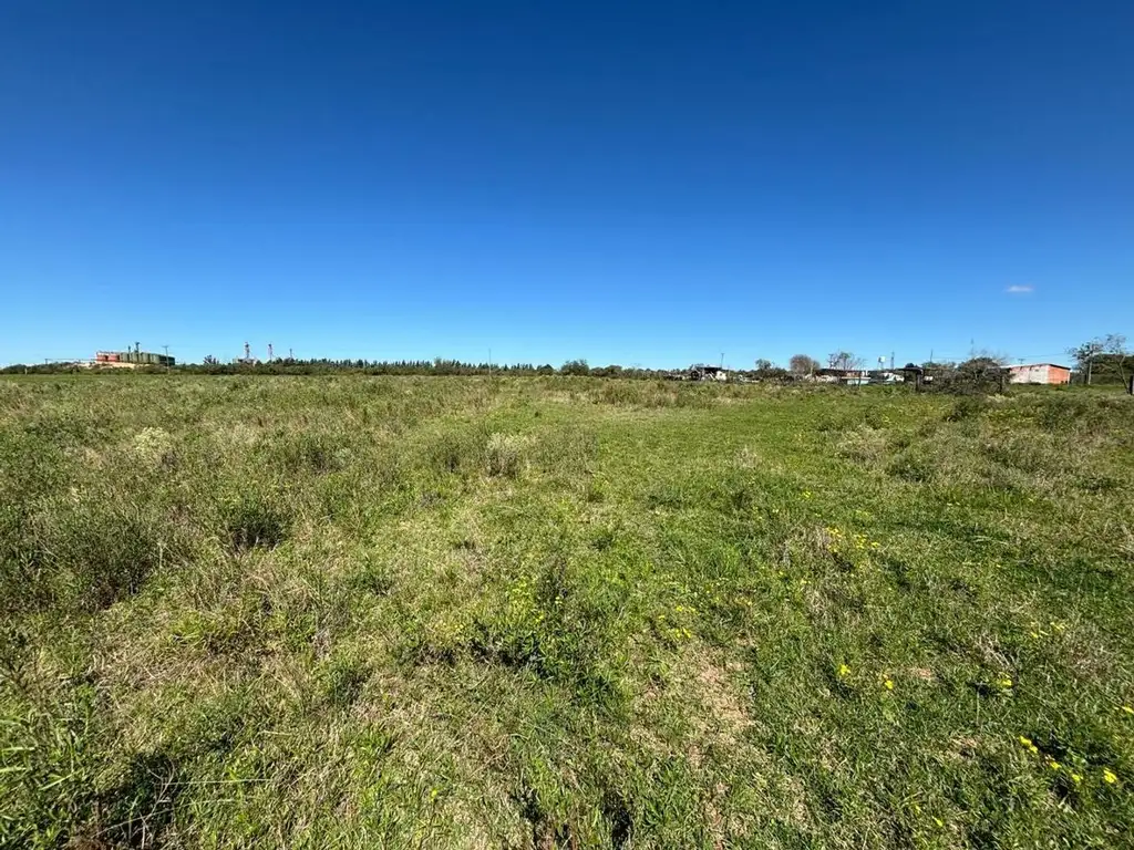 Foto de Lote baldío, imagen 2
