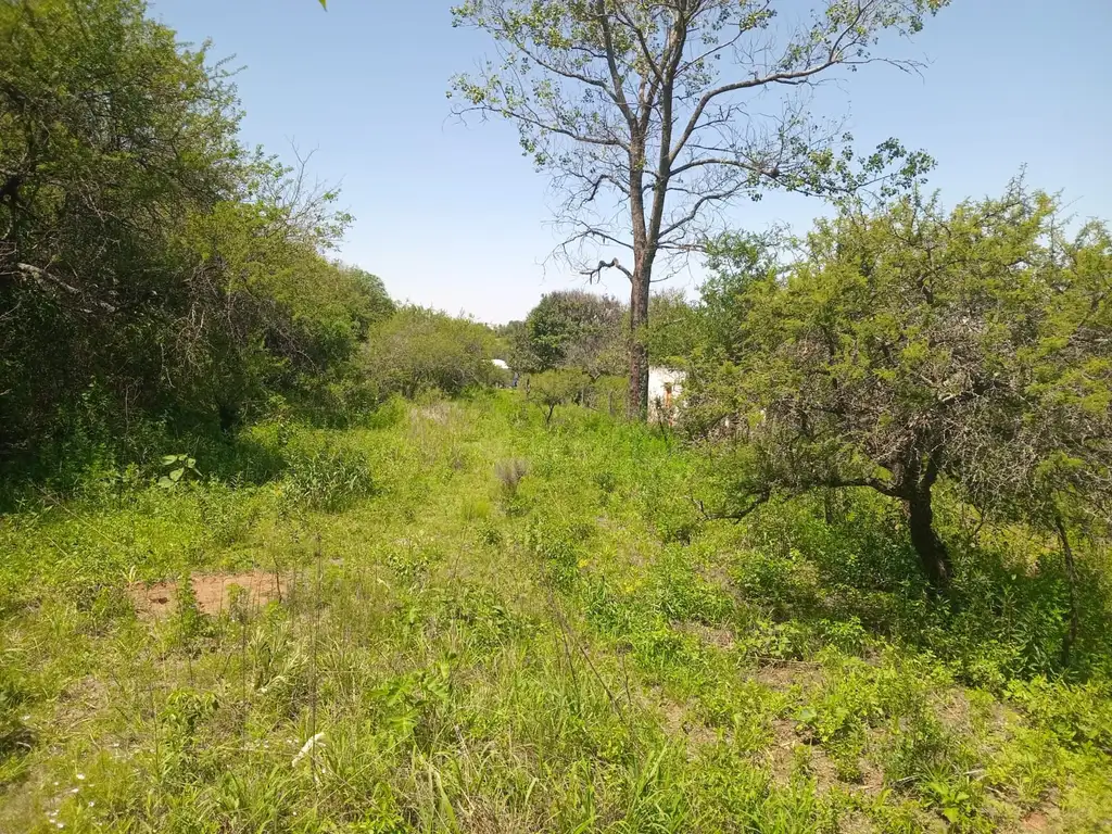 Foto de Terreno en venta en La Granja, imagen 4