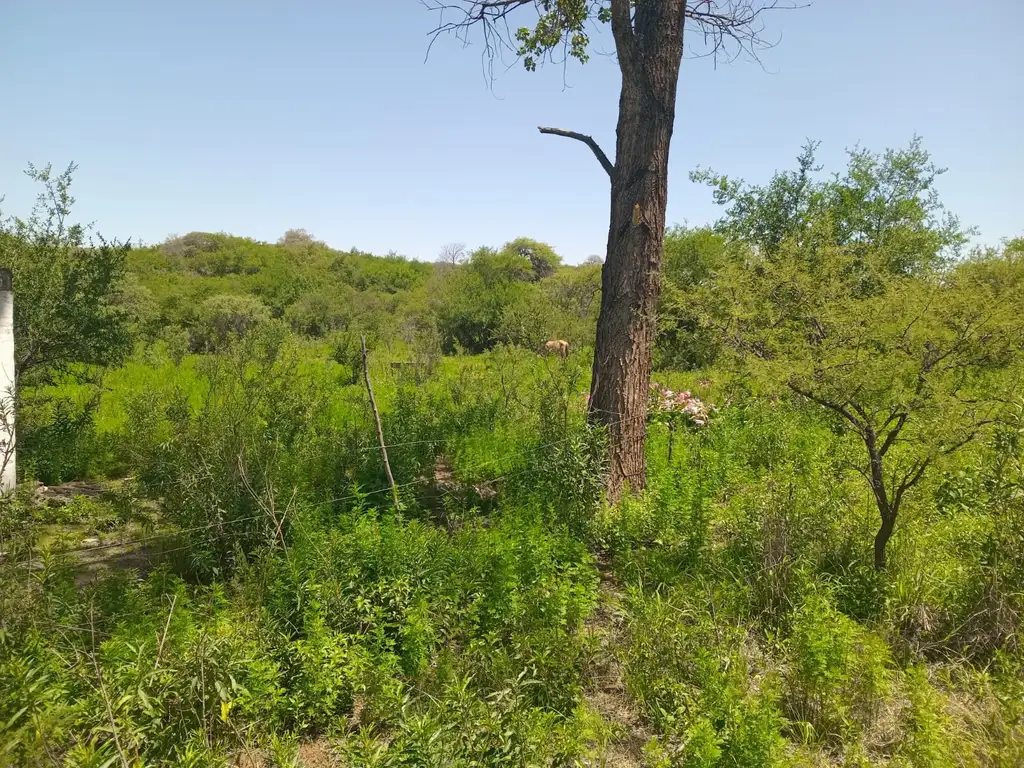 Foto de Terreno en venta en La Granja, imagen 2