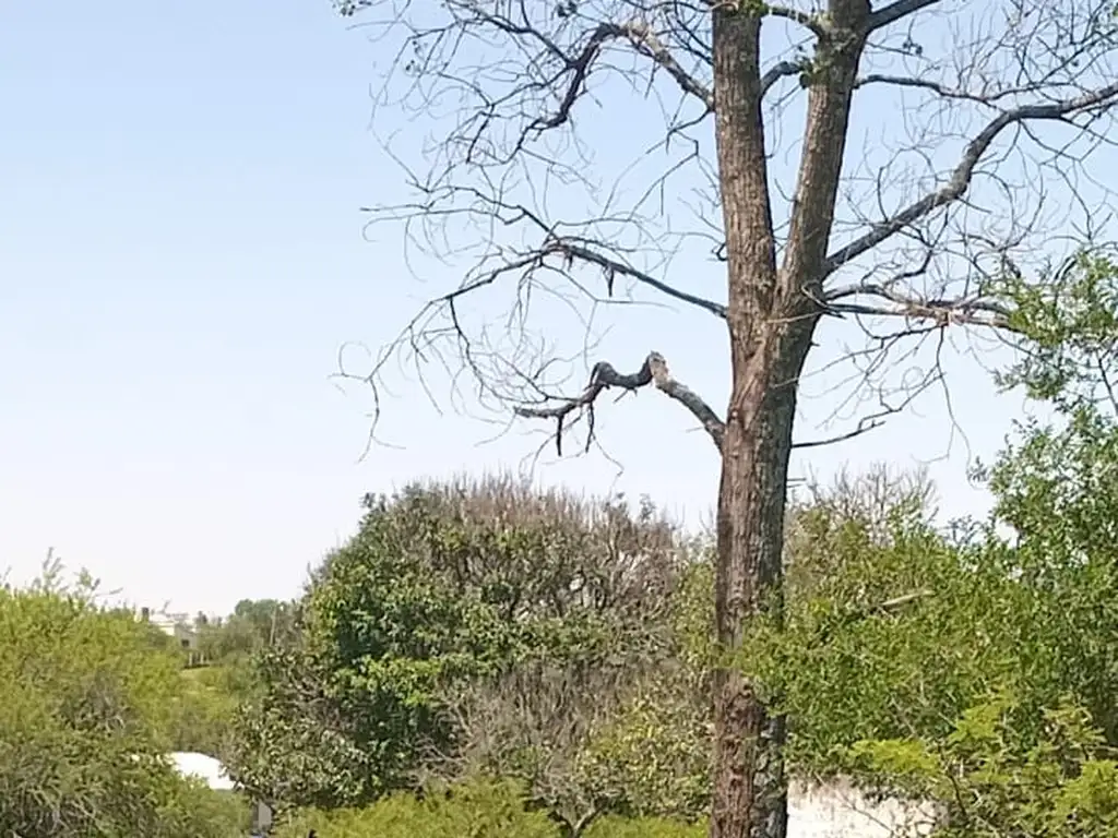 Foto de Terreno en venta en La Granja, imagen 3