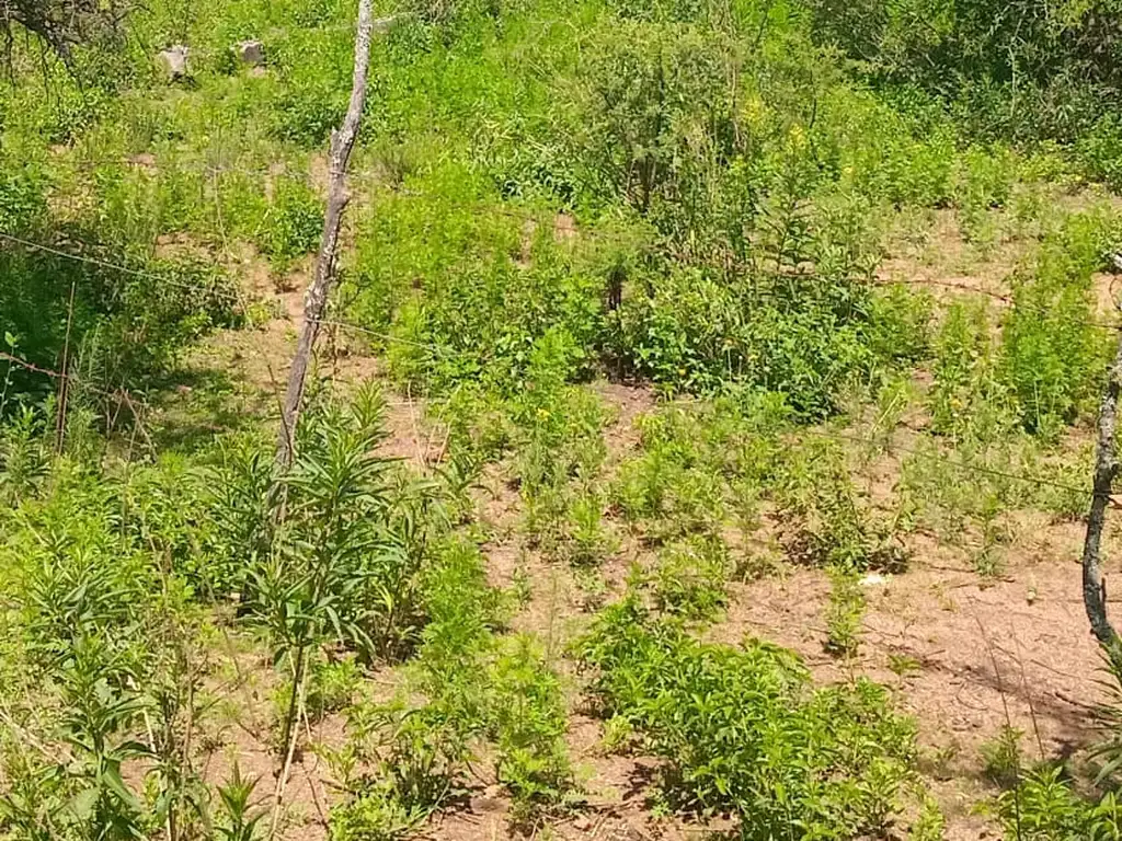 Foto de Terreno en venta en La Granja, imagen 5