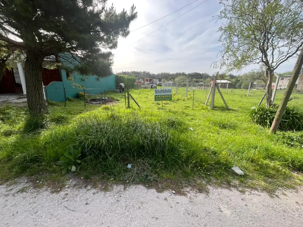 Foto de Terreno en venta en barrio Alfar, imagen 2