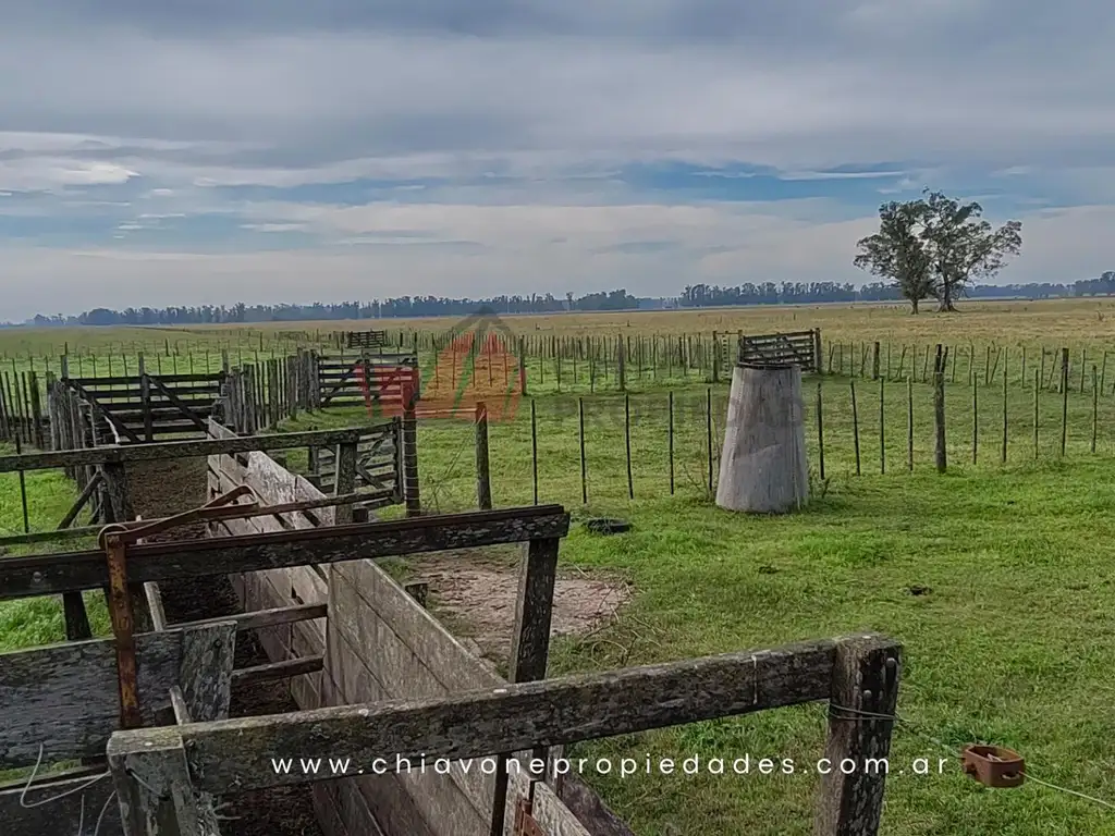 Foto de Campo Mixto 207 ha c/Sistema Voisin – Gral Las Heras, BS AS, imagen 1