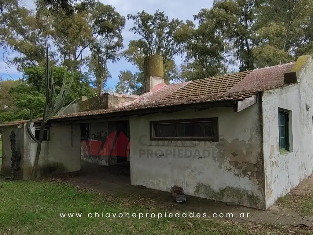 Foto de Campo Mixto 207 ha c/Sistema Voisin – Gral Las Heras, BS AS, imagen 3