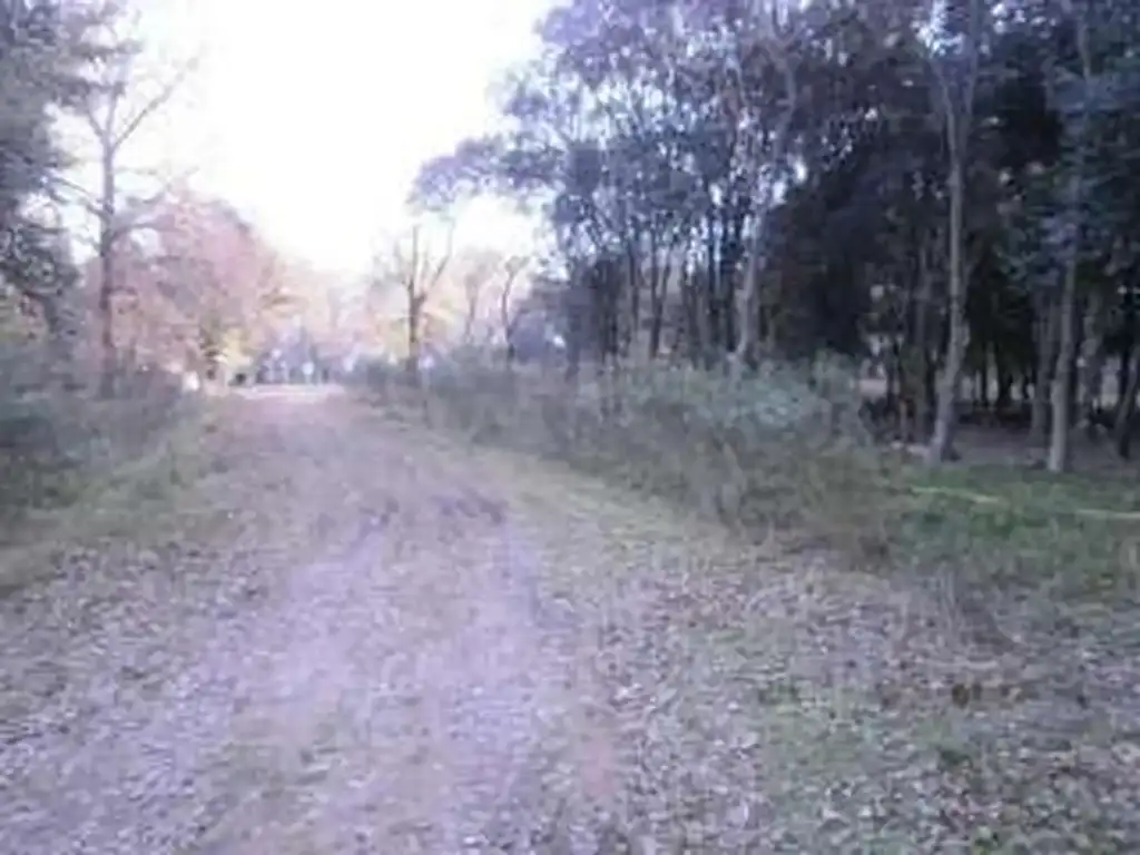 Foto de Negocio especial en alquiler en Altos Las Casuarinas, imagen 5