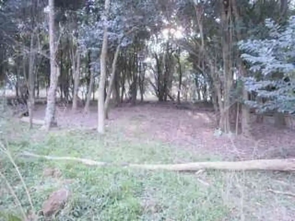 Foto de Negocio especial en alquiler en Altos Las Casuarinas, imagen 3