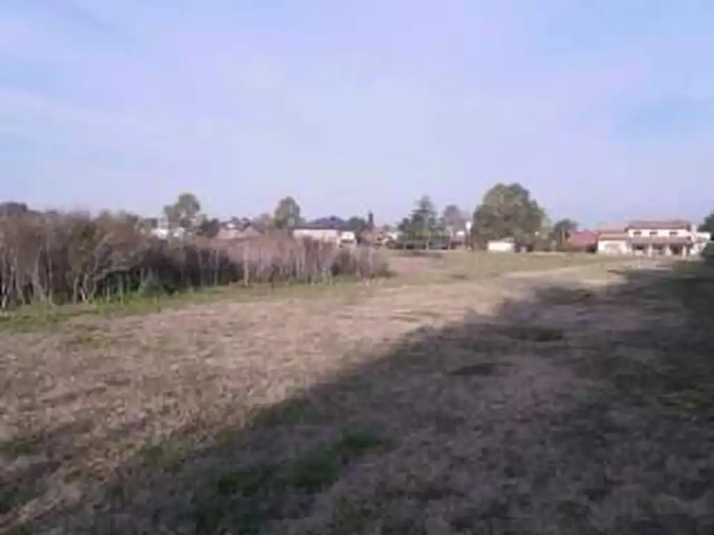 Foto de Negocio especial en alquiler en Altos Las Casuarinas, imagen 2