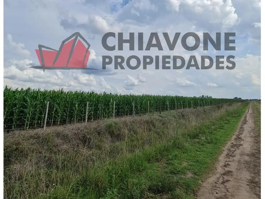 Foto de 178 ha agrícolas, Cuartel III - Gral Las Heras. L30004, imagen 1