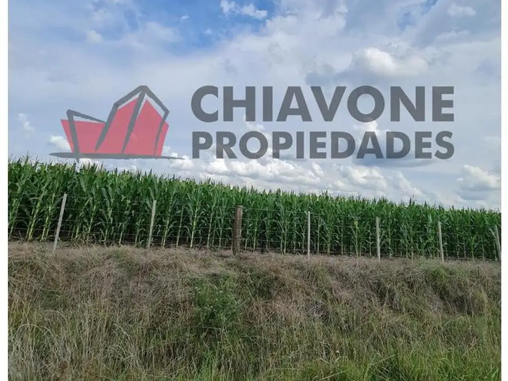 Foto de 178 ha agrícolas, Cuartel III - Gral Las Heras. L30004, imagen 2