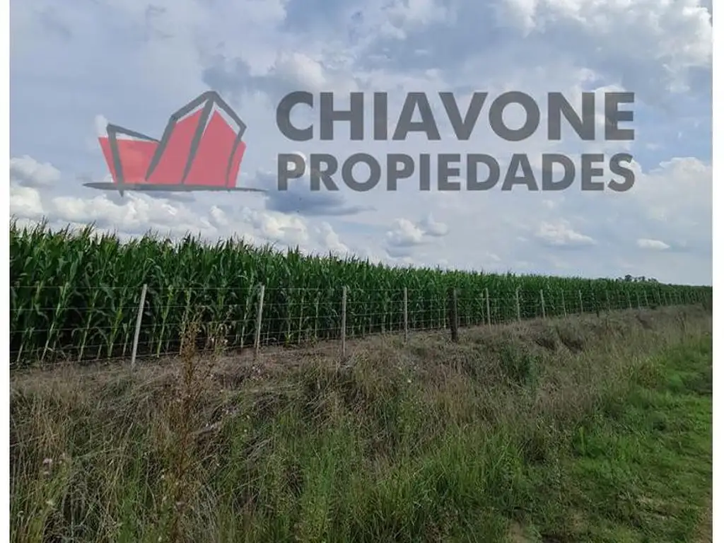 Foto de 178 ha agrícolas, Cuartel III - Gral Las Heras. L30004, imagen 4
