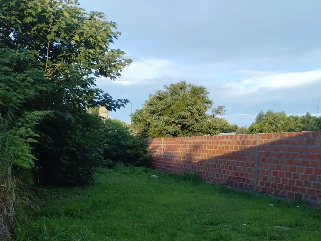 Foto de Casa de pasillo de dos habitaciones con patio en alquiler en Arroyo Seco, imagen 5