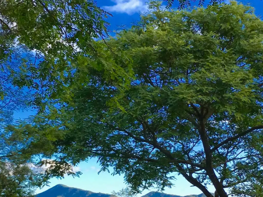 Foto de Terreno en venta en La Misión, imagen 3