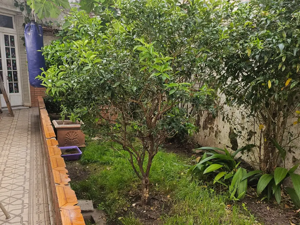 Foto de Casa 5 ambientes con patio, terraza y cochera. A actualizar, imagen 1
