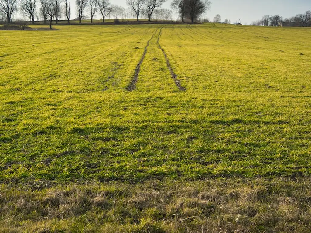 Foto de Campo 29 Hectáreas en venta en Lezama, imagen 1