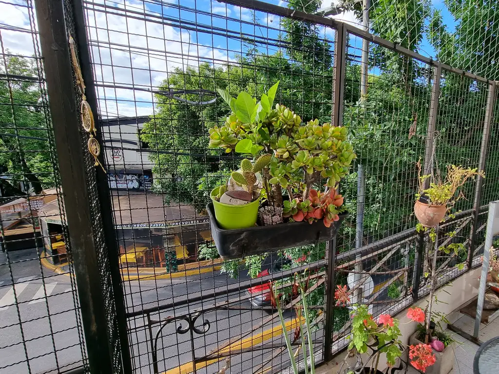 Foto de Departamento tipo casa 3 ambientes en venta en Villa Devoto primer piso, imagen 5
