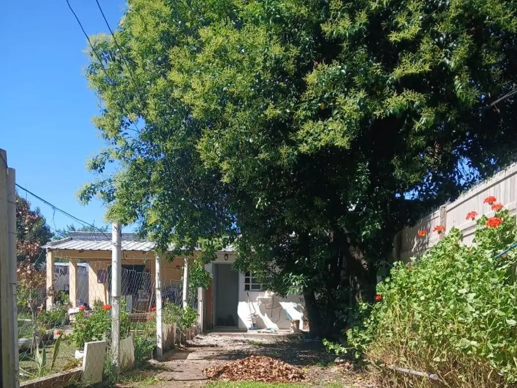 Foto de Monoambiente con patio y cochera en alquiler, imagen 4