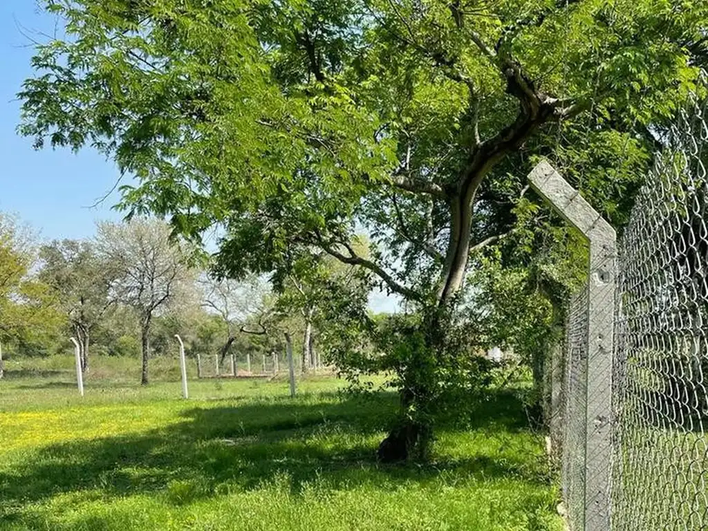 Foto de 25 X 72!!! en Colonia Benitez, imagen 3