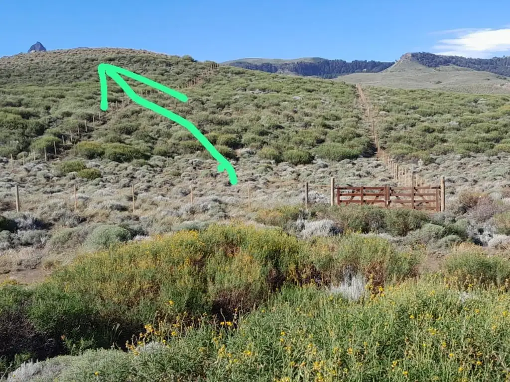 Foto de Lote casi media hectárea zona Huechulafquen JDLA, imagen 1