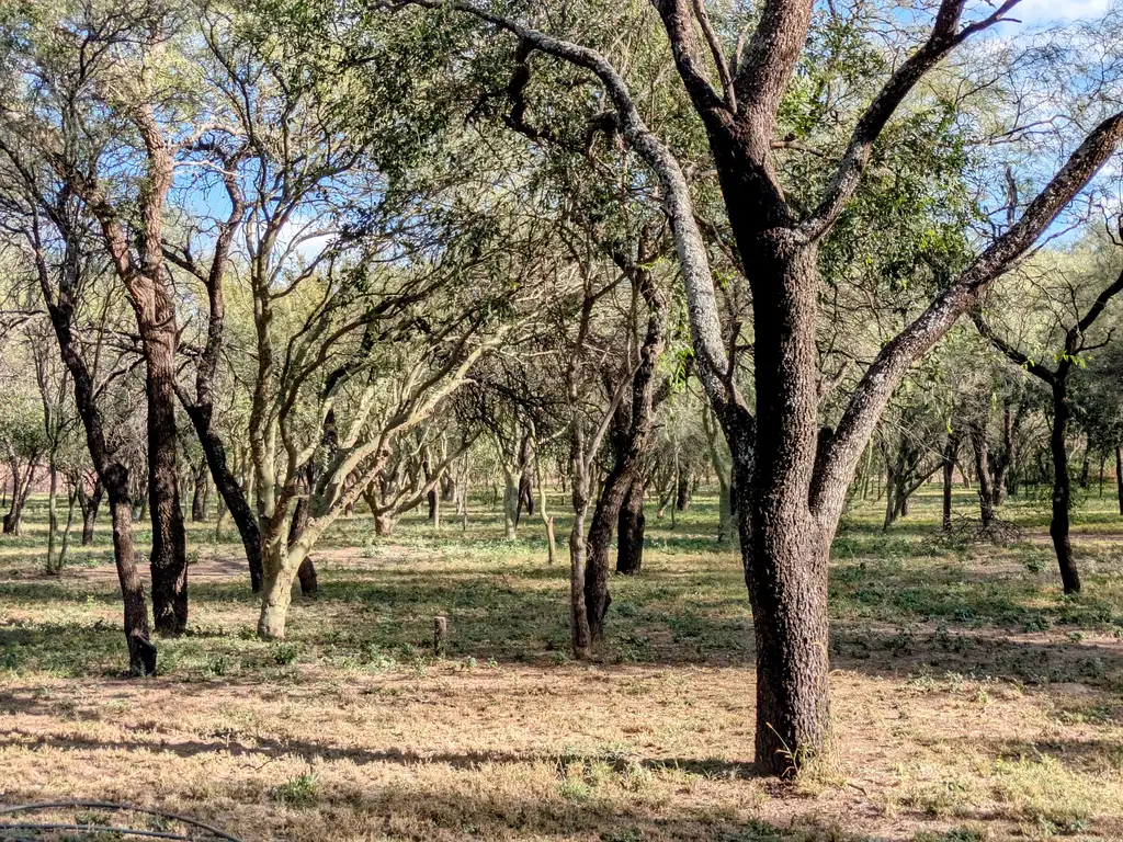 Foto de Terrenos en venta en Las Tapias, San Javier, Traslasierra, imagen 5