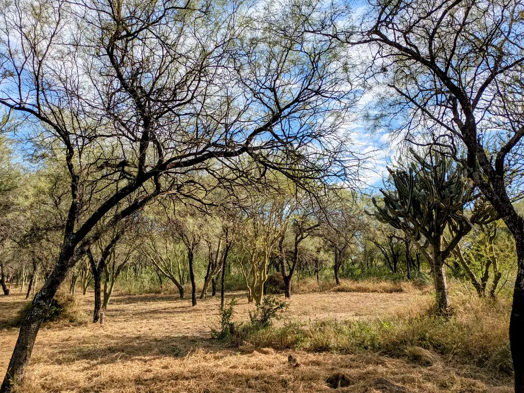 Foto de Terrenos en venta en Las Tapias, San Javier, Traslasierra, imagen 1