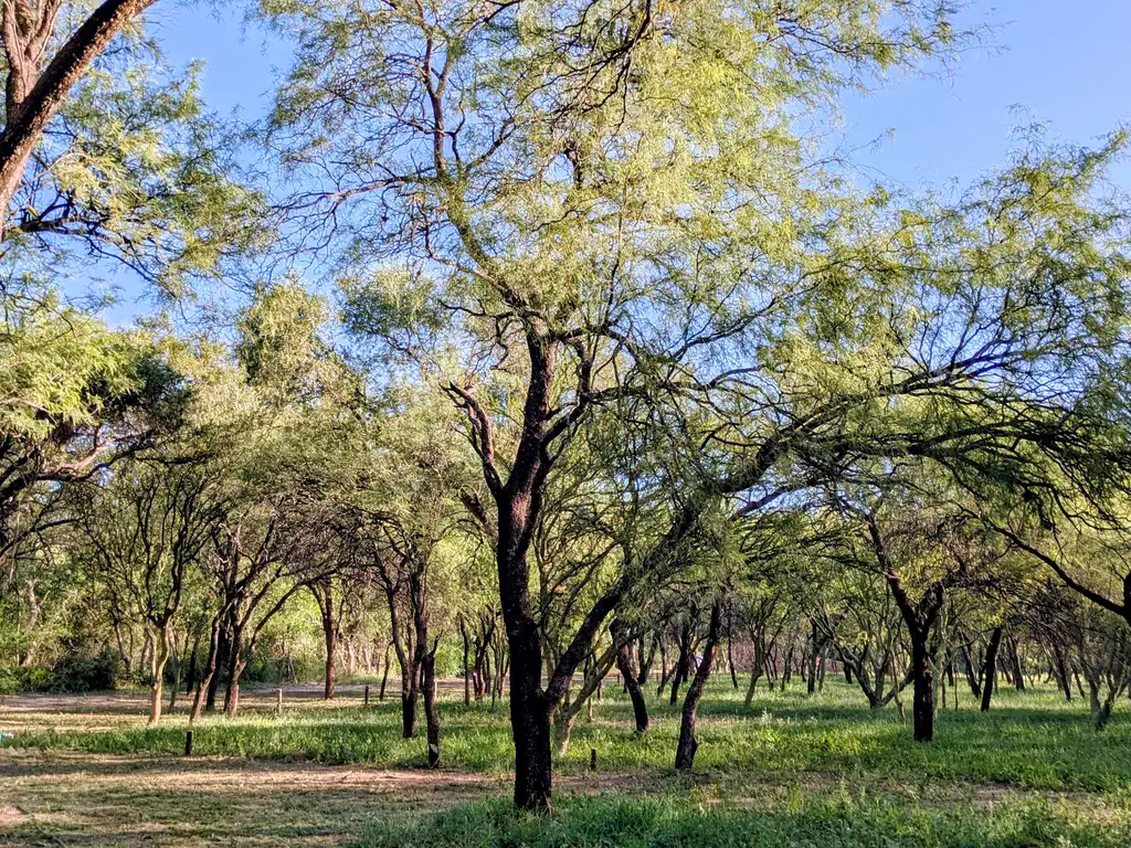 Foto de Terrenos en venta en Las Tapias, San Javier, Traslasierra, imagen 4