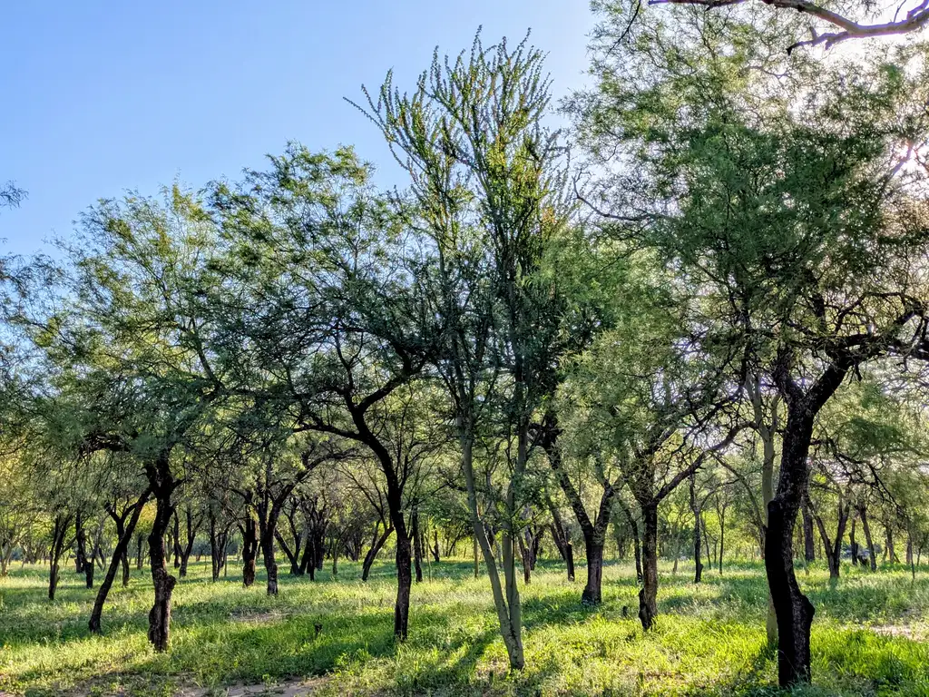 Foto de Terrenos en venta en Las Tapias, San Javier, Traslasierra, imagen 3
