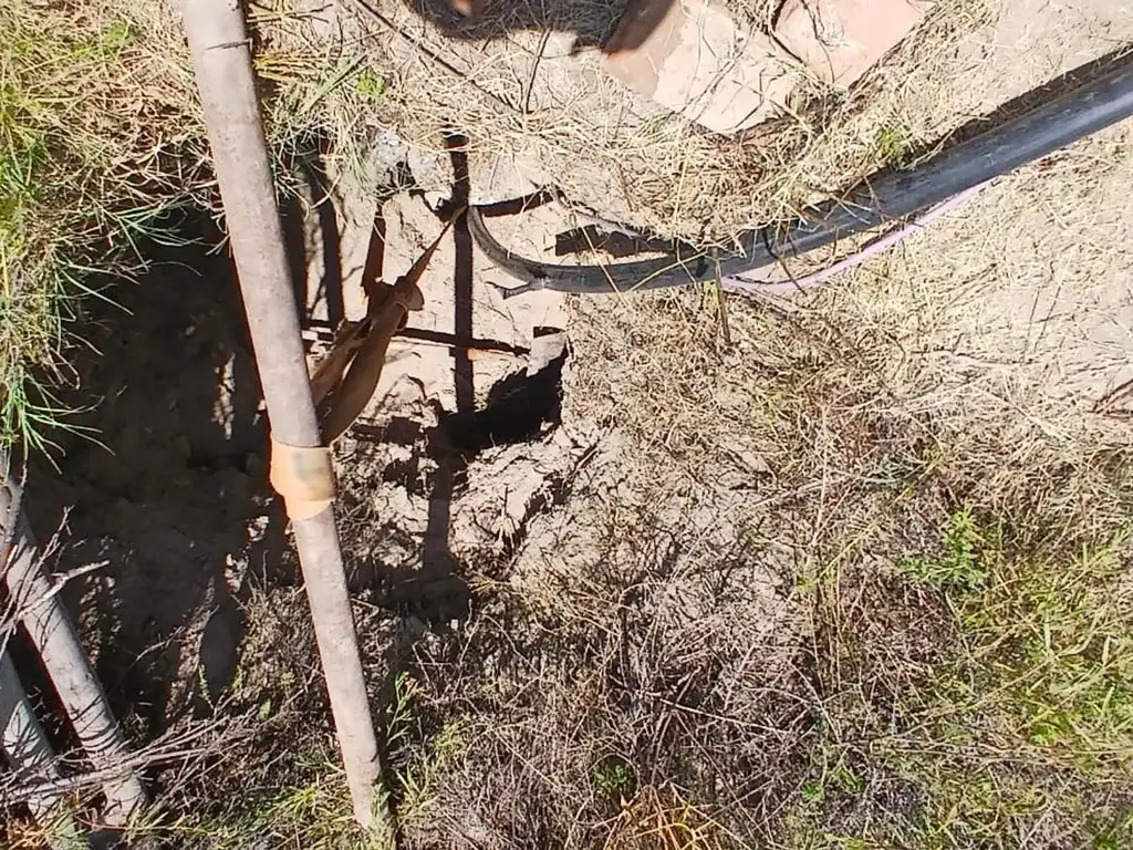 Foto de VENTA DE CAMPO, imagen 1