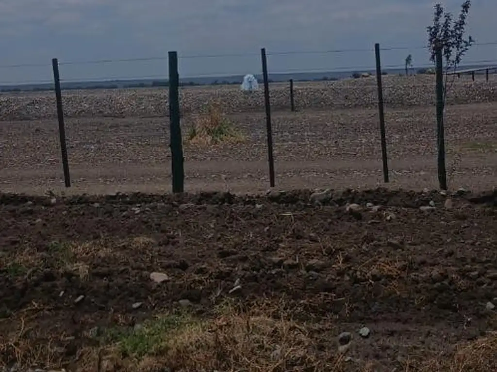 Foto de VENTA DE CAMPO, imagen 5