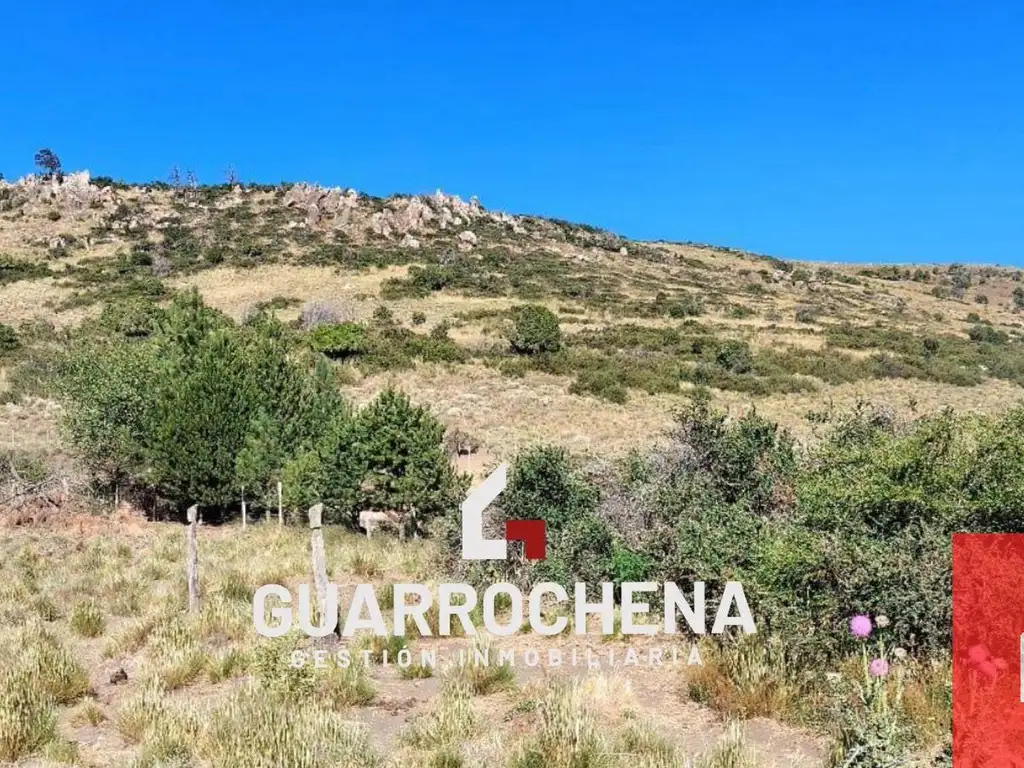 Foto de Terreno / Lote en venta de 6672m2 ubicado en Huechulafquen, imagen 3
