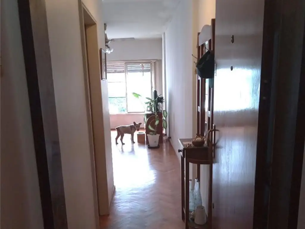Foto de DEPARTAMENTO 3 AMBIENTES - SAN CRISTÓBAL, CAPITAL FEDERAL, imagen 3