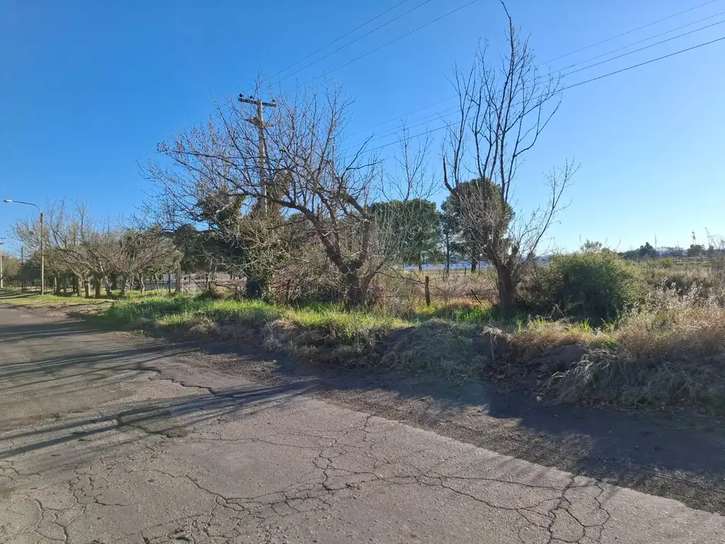 Foto de Terreno 5.000 m² en Las Paredes – A metros de Ruta 143, imagen 3