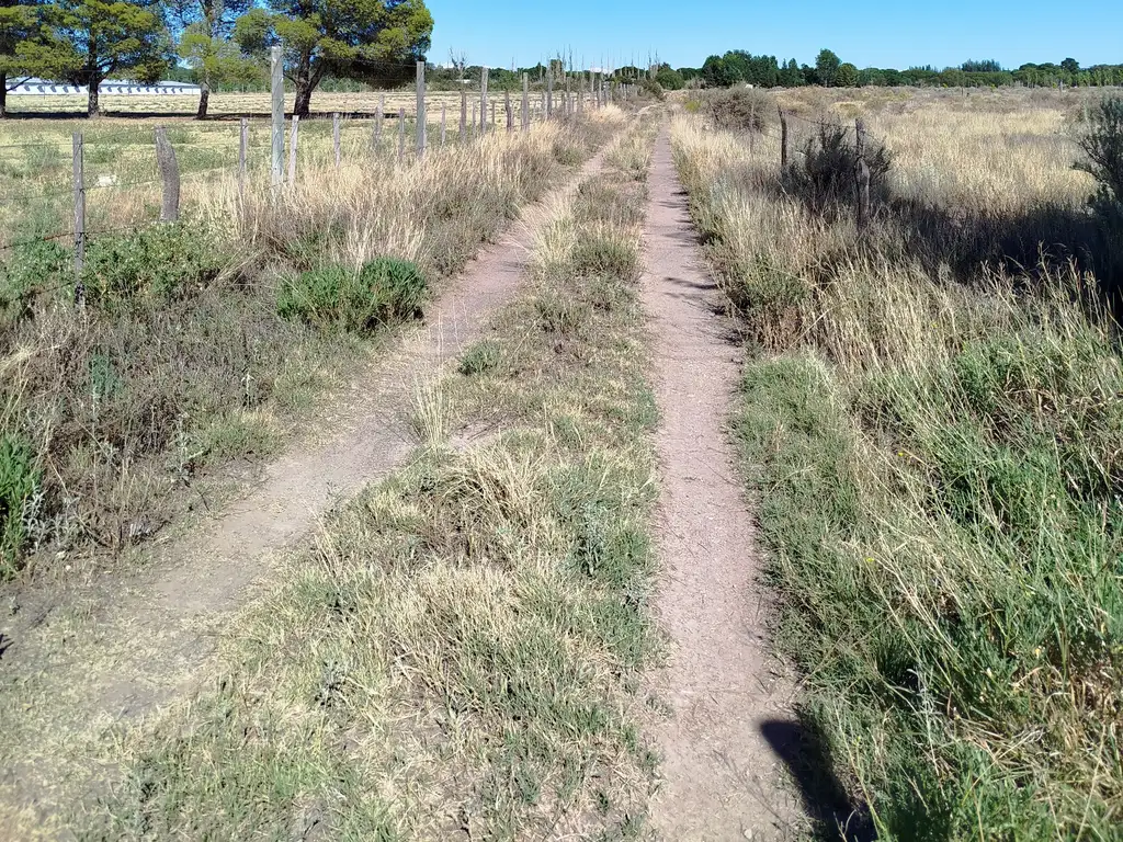 Foto de Terreno 5.000 m² en Las Paredes – A metros de Ruta 143, imagen 4