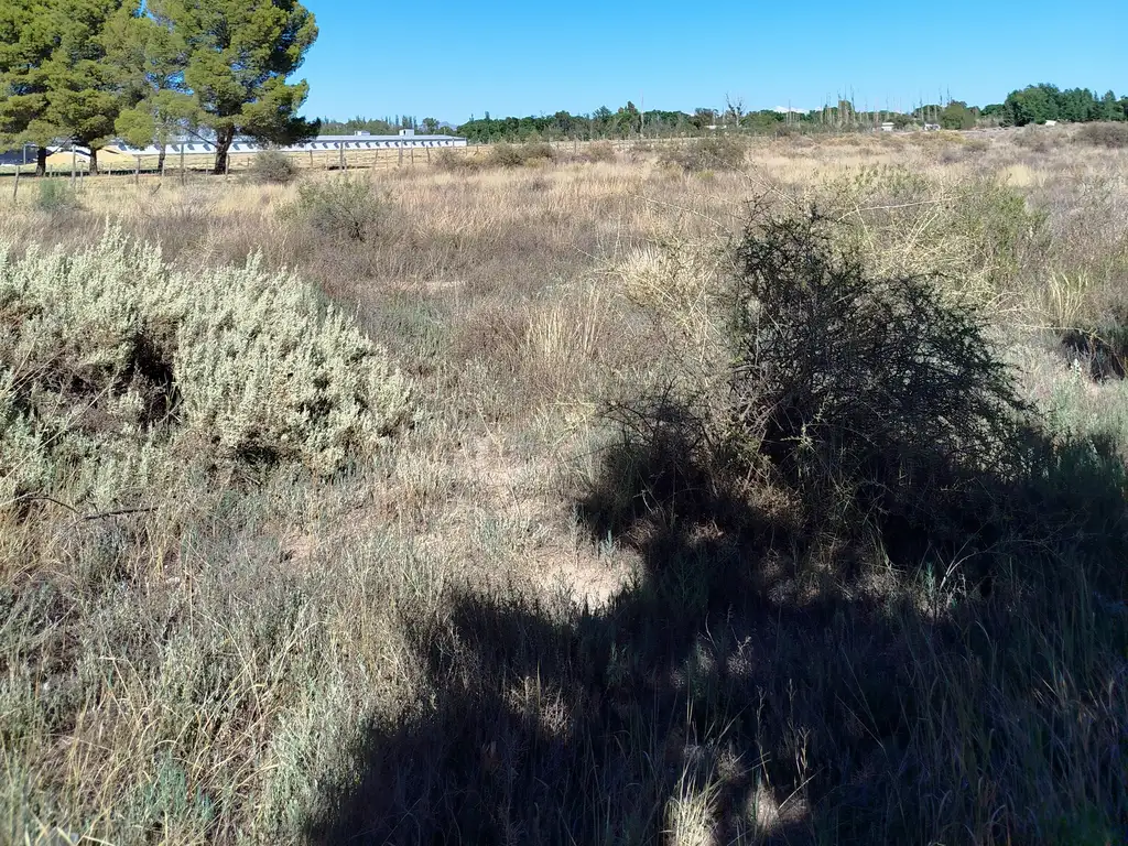 Foto de Terreno 5.000 m² en Las Paredes – A metros de Ruta 143, imagen 5