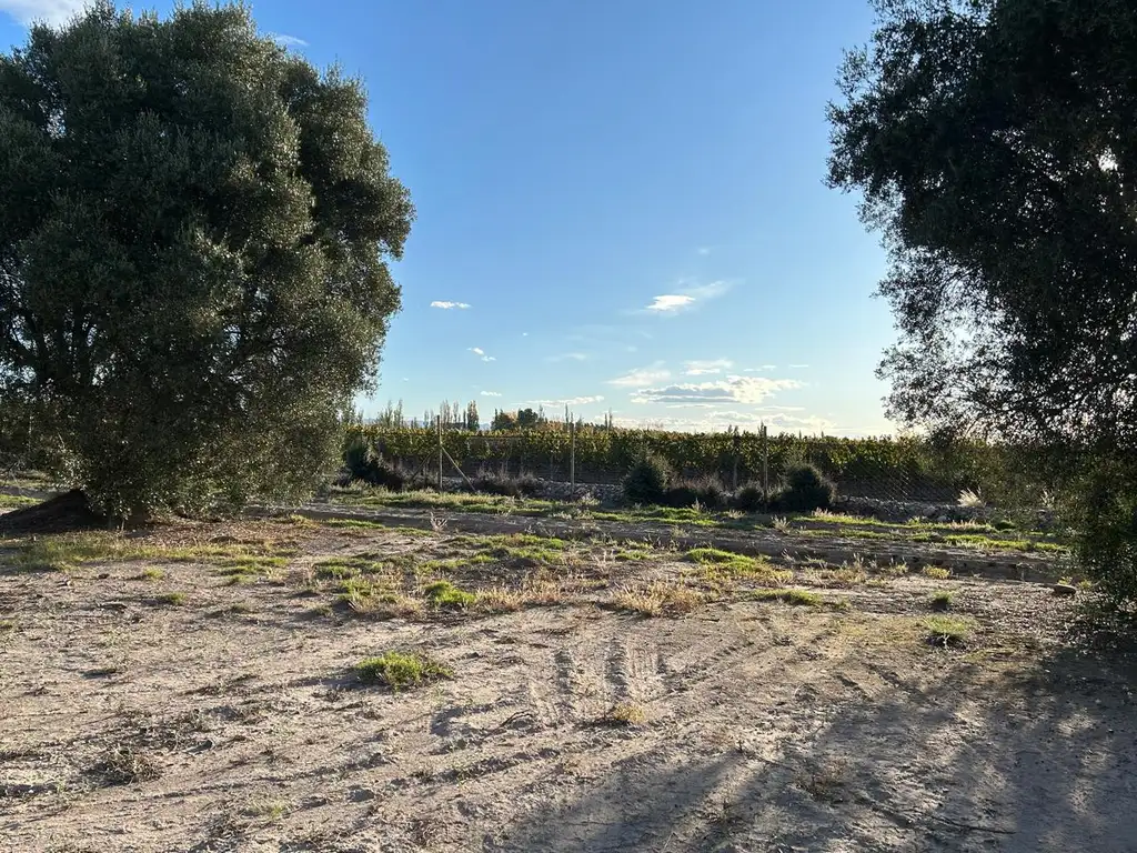 Foto de Lote 599 m² en Club de Campo Los Cardos – Barrio Privado, imagen 5