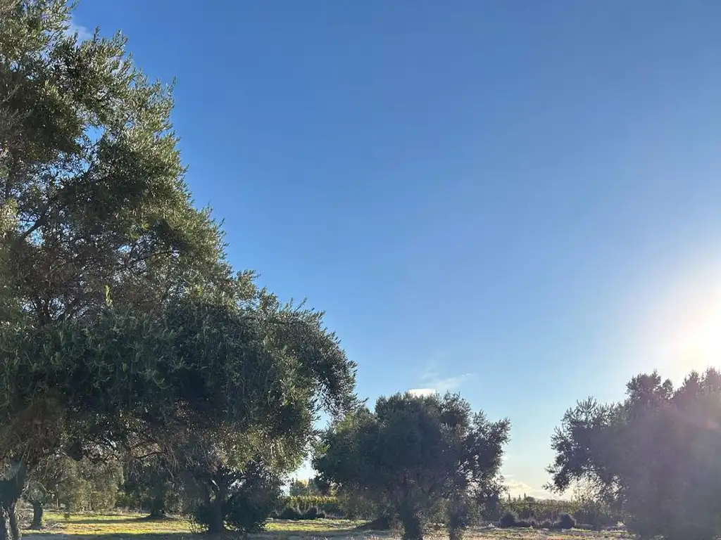 Foto de Lote 599 m² en Club de Campo Los Cardos – Barrio Privado, imagen 3