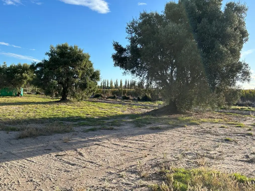Foto de Lote 599 m² en Club de Campo Los Cardos – Barrio Privado, imagen 4
