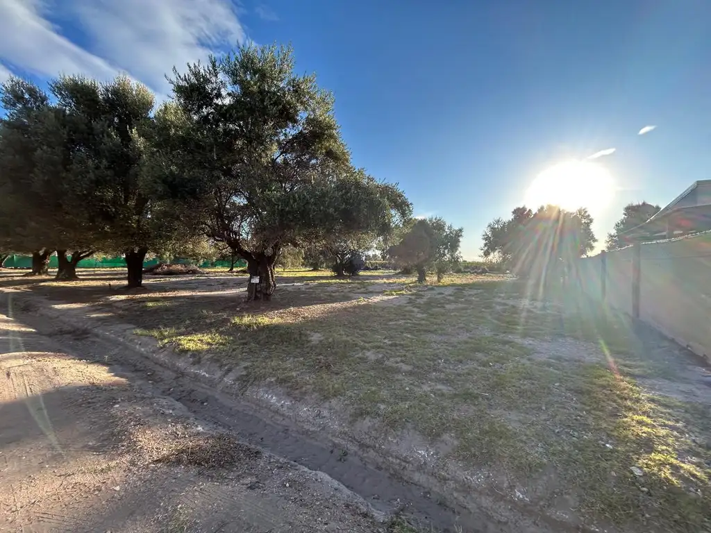 Foto de Lote 599 m² en Club de Campo Los Cardos – Barrio Privado, imagen 2