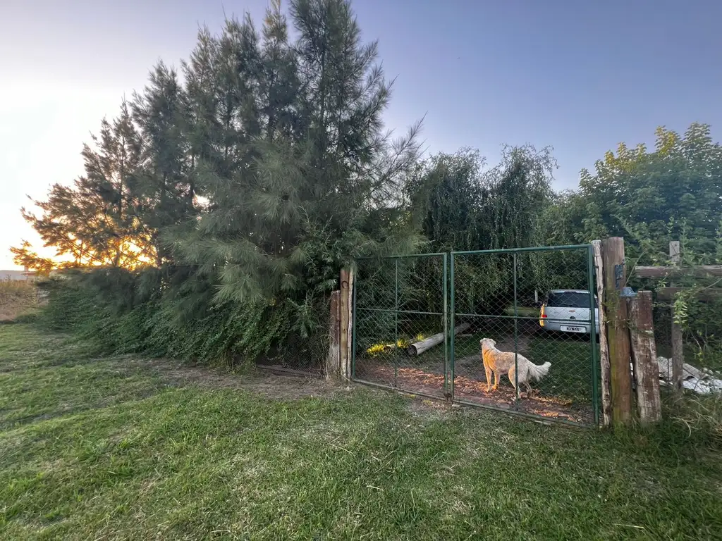 Foto de LOTE CON BELLA FORESTACIÓN Y BREVE CONSTRUCCIÓN EN VENTA, GENERAL HORNOS, imagen 1