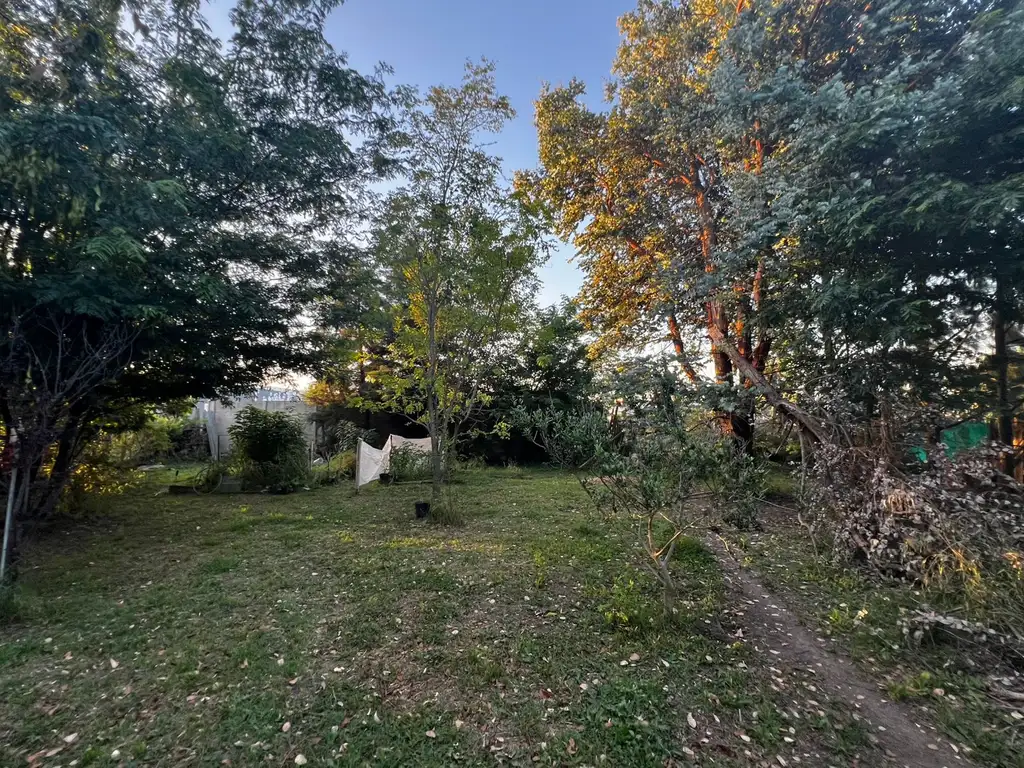 Foto de LOTE CON BELLA FORESTACIÓN Y BREVE CONSTRUCCIÓN EN VENTA, GENERAL HORNOS, imagen 3