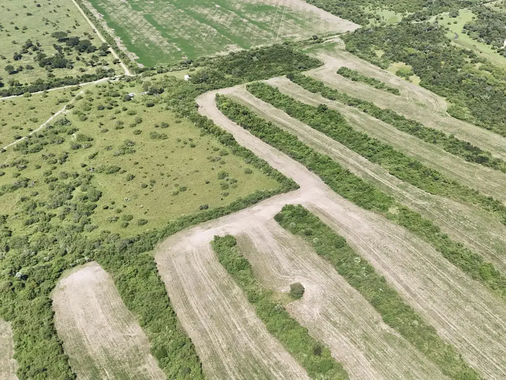 Foto de Campo en venta en San Jose de Feliciano, imagen 1
