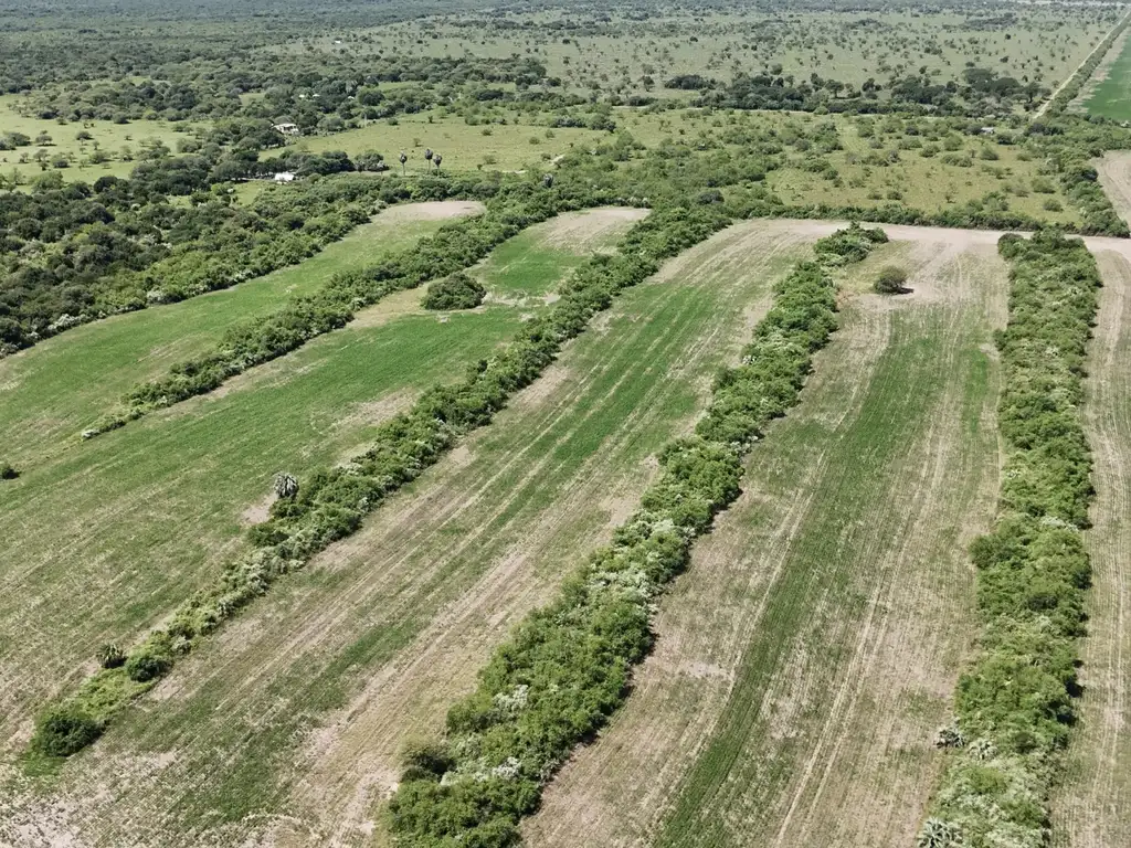 Foto de Campo en venta en San Jose de Feliciano, imagen 4