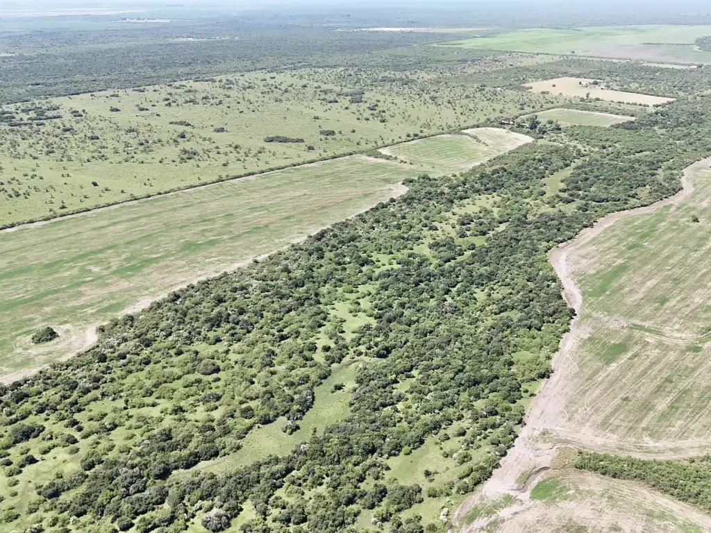 Foto de Campo en venta en San Jose de Feliciano, imagen 2