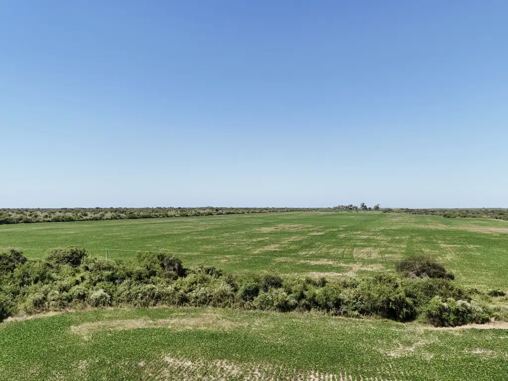 Foto de Campo en venta en San Jose de Feliciano, imagen 3