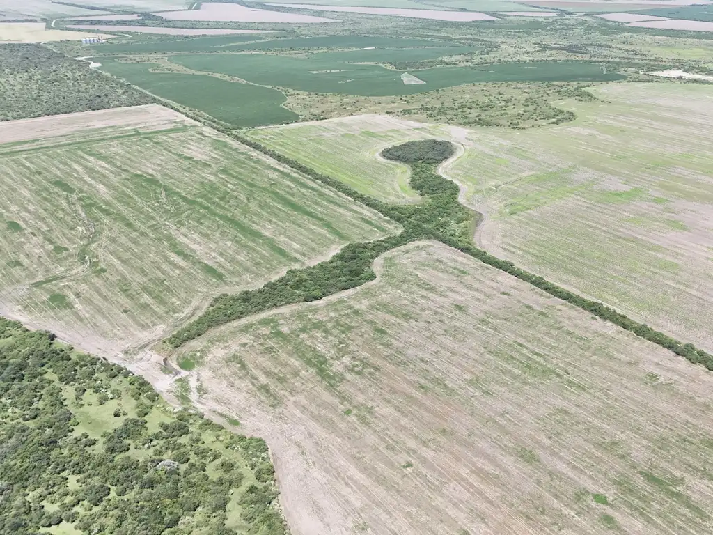 Foto de Campo en venta en San Jose de Feliciano, imagen 5
