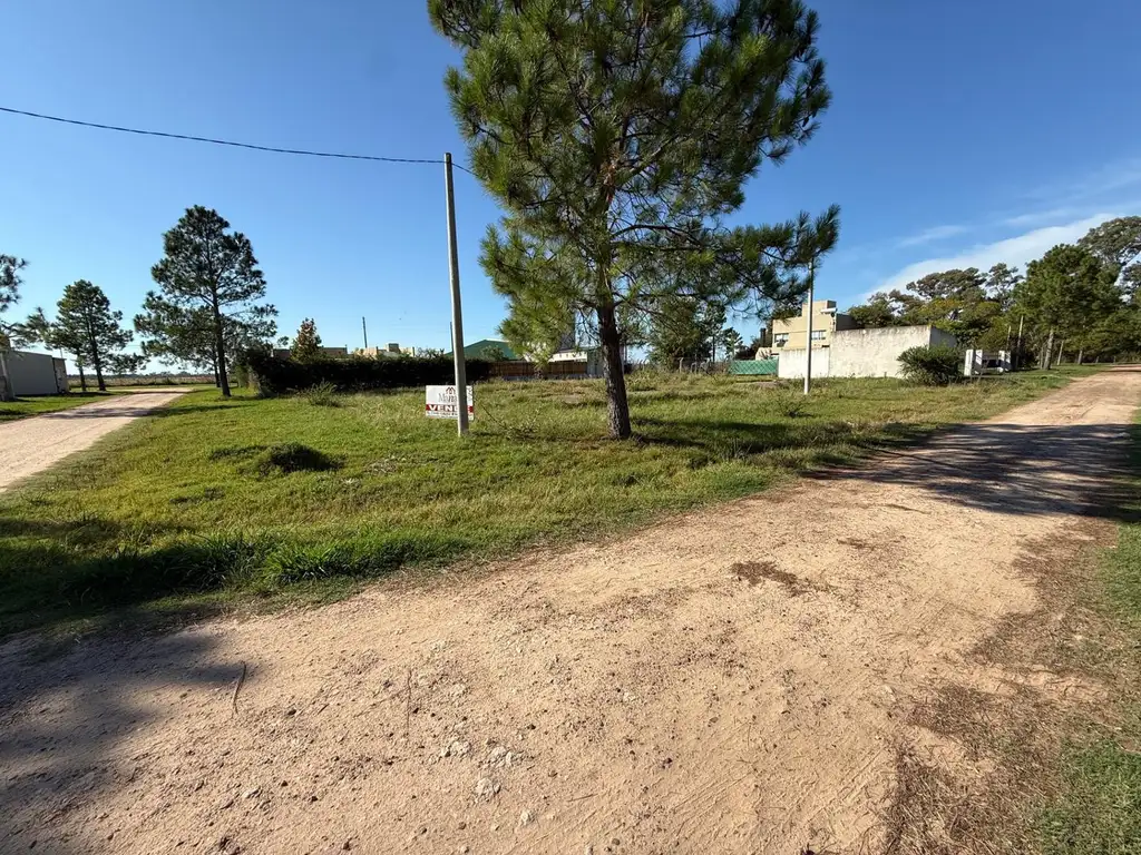 Foto de EXCELENTE OPORTUNIDAD DE INVERSIÓN EN P. GENERAL BELGRANO, imagen 3