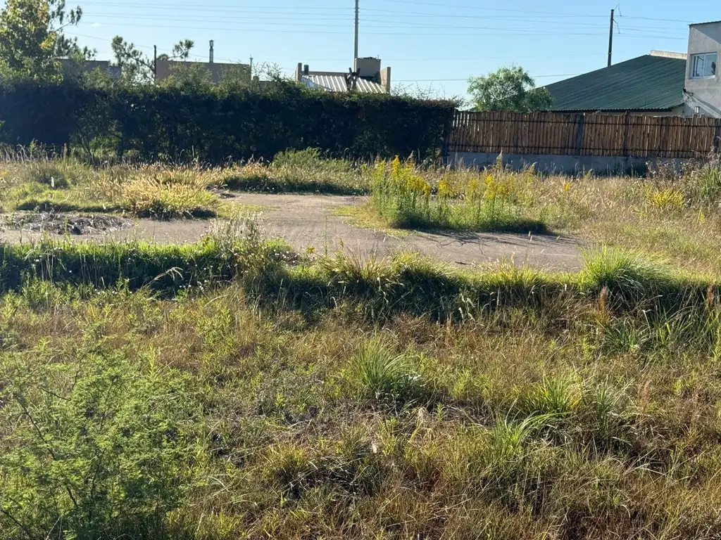 Foto de EXCELENTE OPORTUNIDAD DE INVERSIÓN EN P. GENERAL BELGRANO, imagen 2