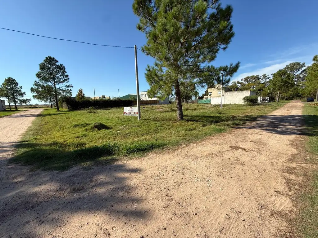 Foto de EXCELENTE OPORTUNIDAD DE INVERSIÓN EN P. GENERAL BELGRANO, imagen 5