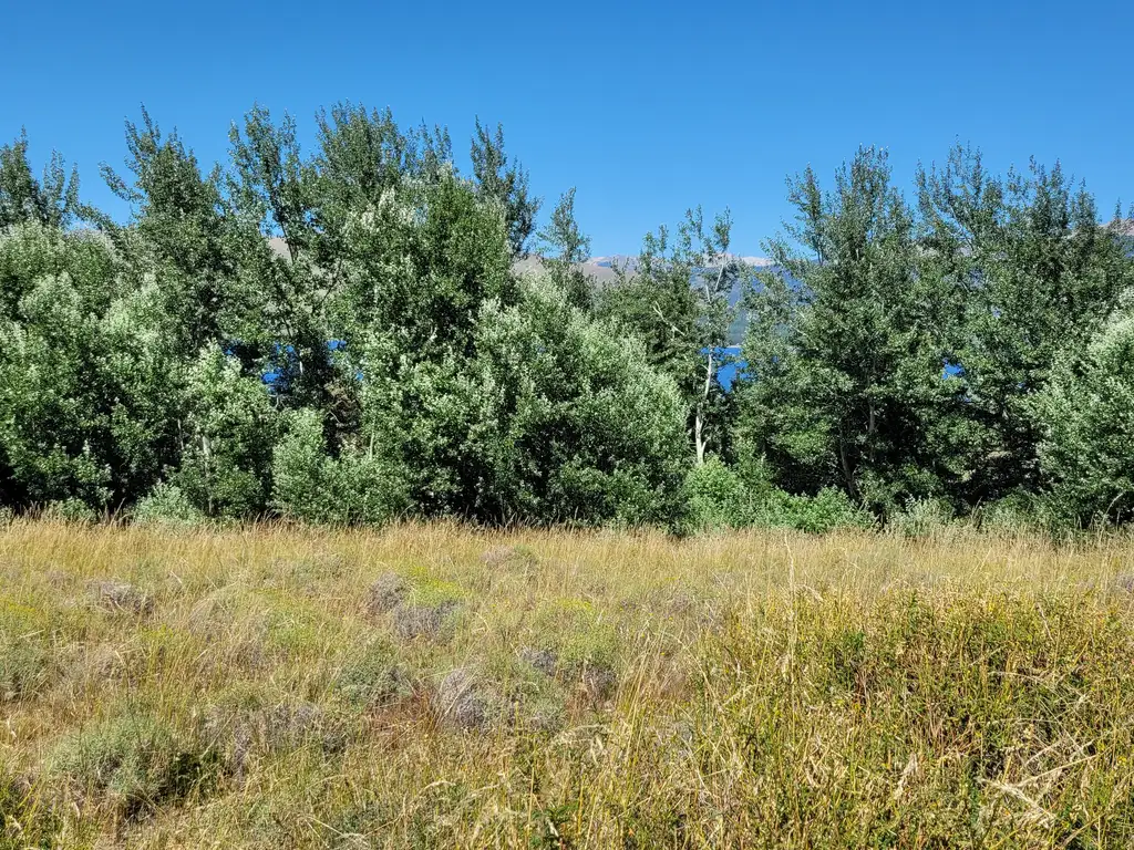 Foto de Lote de 1075 m2 con hermosas vistas en Lago Huechulafquen y al, imagen 1